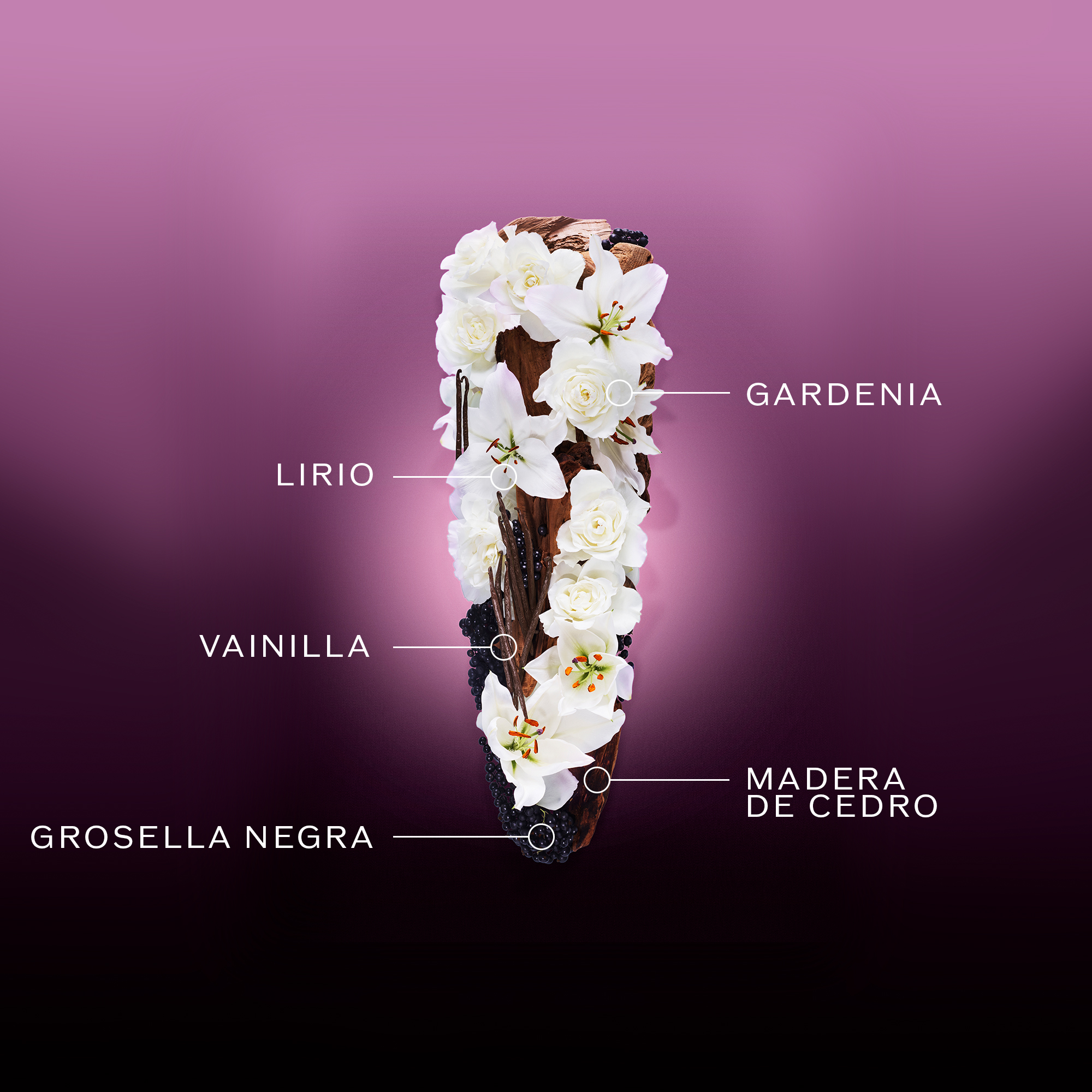 Ginza Night Eau De Parfum Intense, 